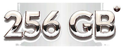 256 gb logo